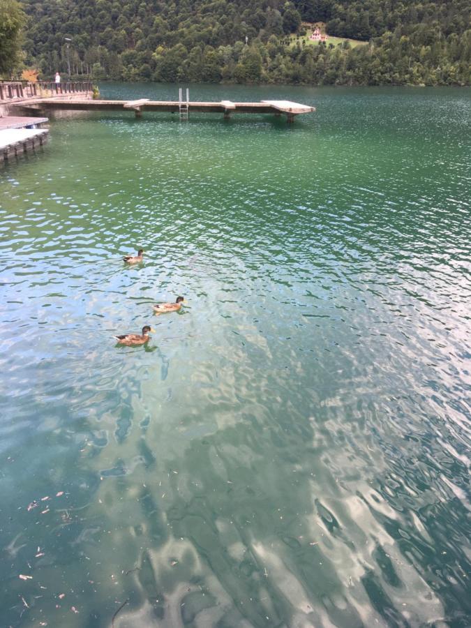 Casa A Schiera Fronte Lago Con Giardino *